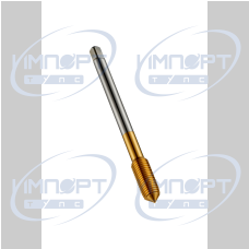 E288M10X1.25